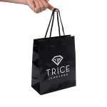 Luxury Glossy Jewelry Paper Bag